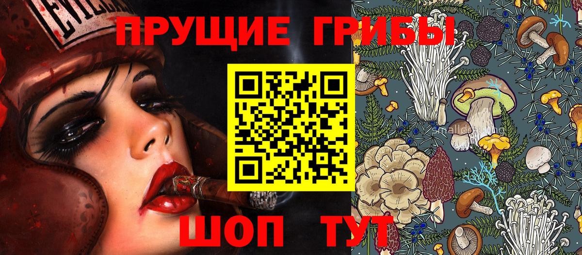 Псилоцибиновые грибы прущие грибы  Галлюциногенные грибы мухоморы  Орёл  Вход с VPN 