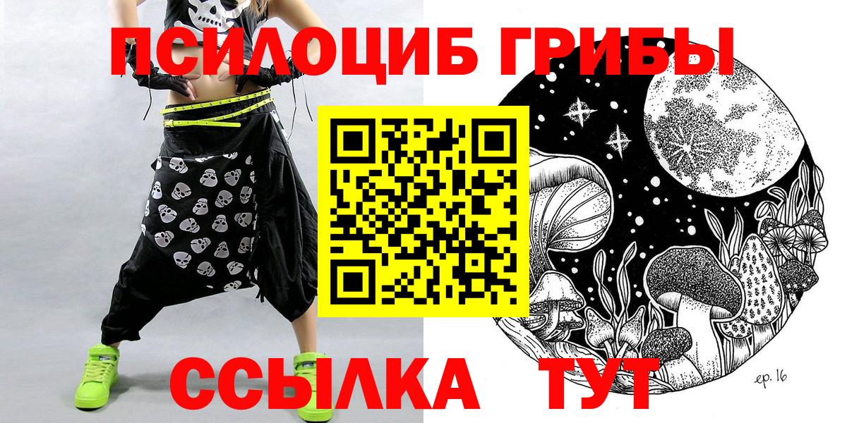 Псилоцибиновые грибы GOLDEN TEACHER Орёл